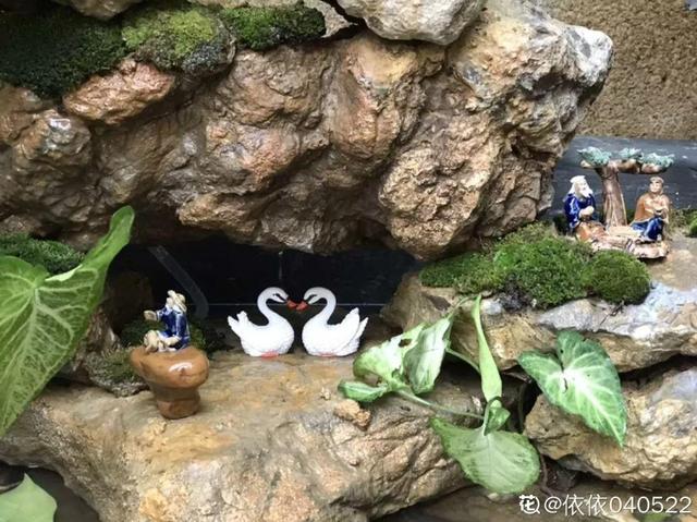 種花比滑手機有趣！夫妻將小菜園「改造成夢幻花圃」　撿回收化廢為寶「成人間仙境」：這老公哪裡找