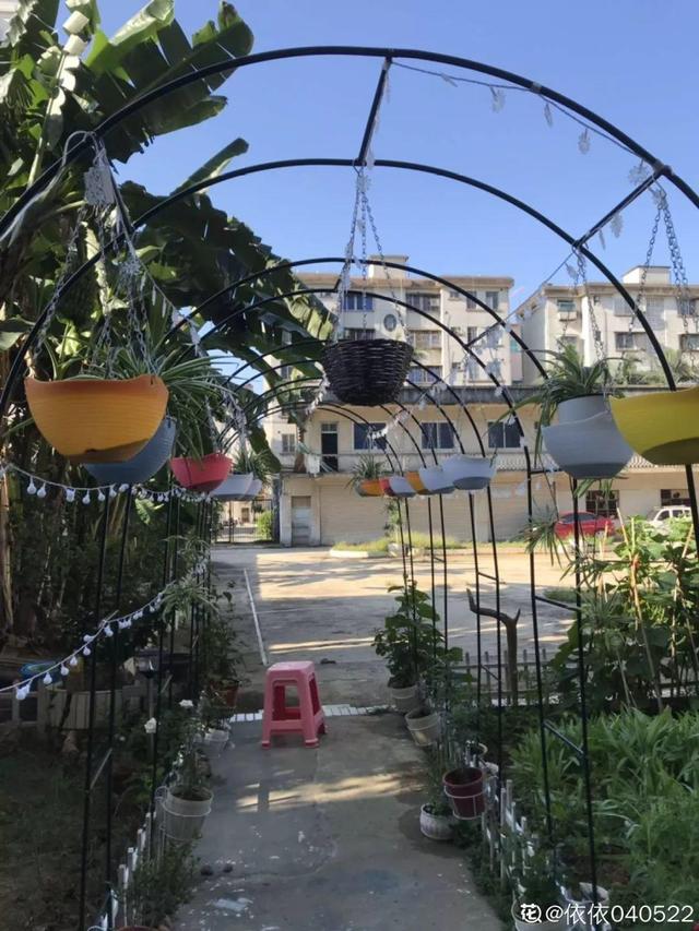 種花比滑手機有趣！夫妻將小菜園「改造成夢幻花圃」　撿回收化廢為寶「成人間仙境」：這老公哪裡找