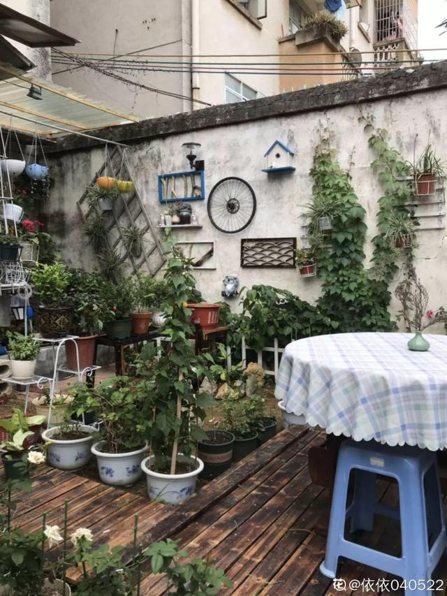 種花比滑手機有趣！夫妻將小菜園「改造成夢幻花圃」　撿回收化廢為寶「成人間仙境」：這老公哪裡找