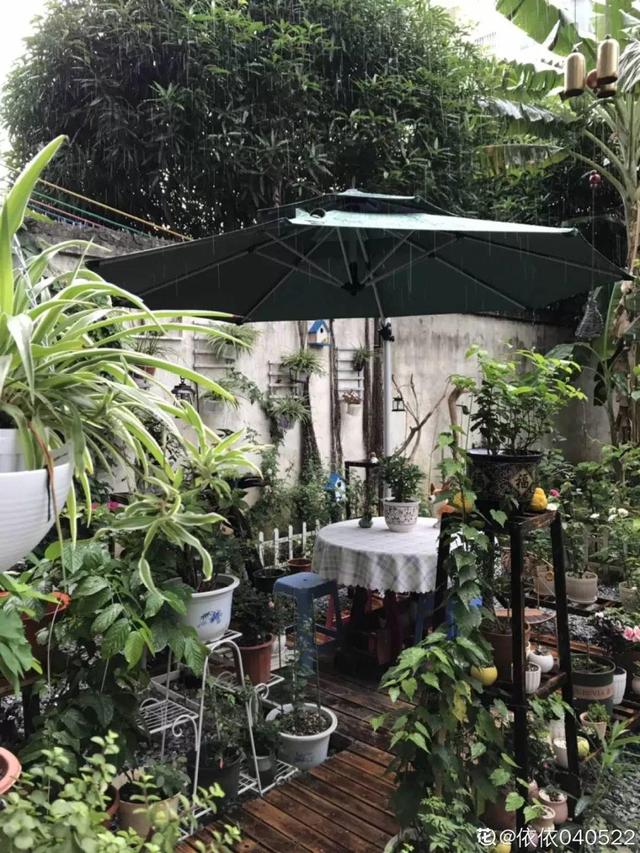 種花比滑手機有趣！夫妻將小菜園「改造成夢幻花圃」　撿回收化廢為寶「成人間仙境」：這老公哪裡找
