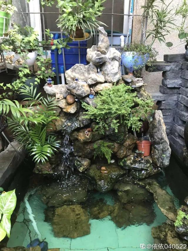 種花比滑手機有趣！夫妻將小菜園「改造成夢幻花圃」　撿回收化廢為寶「成人間仙境」：這老公哪裡找
