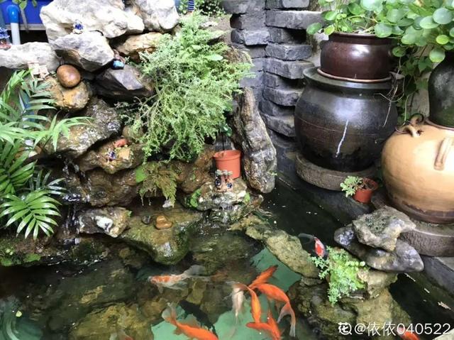 種花比滑手機有趣！夫妻將小菜園「改造成夢幻花圃」　撿回收化廢為寶「成人間仙境」：這老公哪裡找