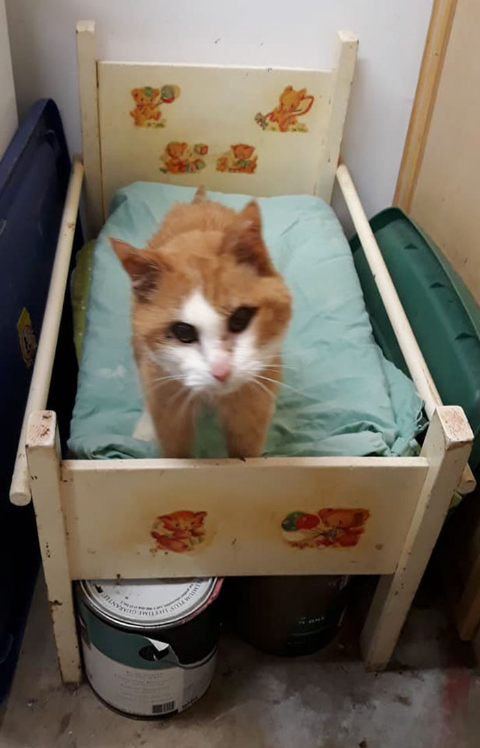 22個證明「二手商店是挖寶天堂」的超強戰利品！不起眼花瓶「瞬間變時尚帽子」超神奇：還可以伸縮