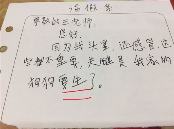 小學生寫詩「無情虧老爸」老師笑到給滿分！再曬出「史上最坑爹造句作業」網笑噴：這是男人的本性