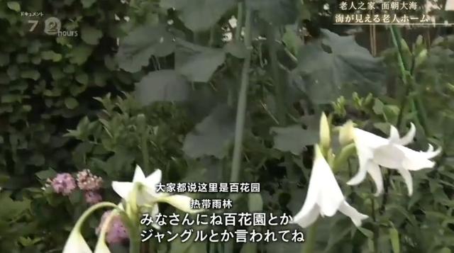 老人賣房籌980萬只為「排隊搶住日本養老院」　60歲搬進住待了30年「裡面比家更溫暖」快樂迎接餘生