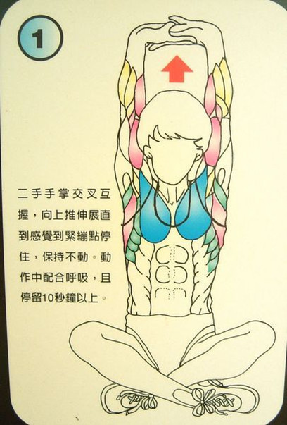 每天拉筋3分鐘「3個月瘦10公斤」12招全身伸展一定要記起來