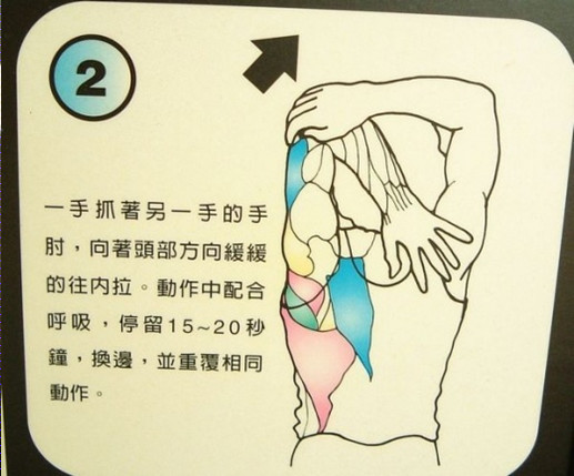 每天拉筋3分鐘「3個月瘦10公斤」12招全身伸展一定要記起來