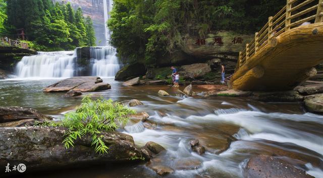 有錢不變壞!越老越寵老婆,越有錢越寵愛老婆的5大生肖男