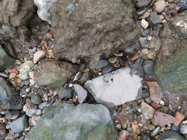 一夜暴富?男子午休散步 隨手撿起一個「1公分金器」,6個月後竟成百萬富翁