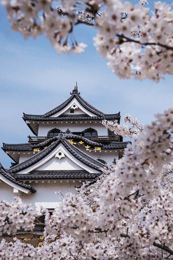 根本不像出國！日本人抱怨「台灣街景神複製」沒有出國感　網分享「超委屈經驗」：連紀念品也是！