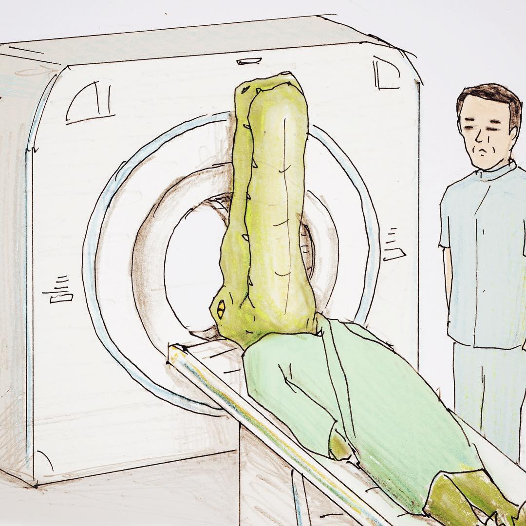 當鱷魚好心累!插畫家畫出「無奈鱷魚日常」爆笑又可憐 拍正面照「一看手機獵奇畫面」根本認不出