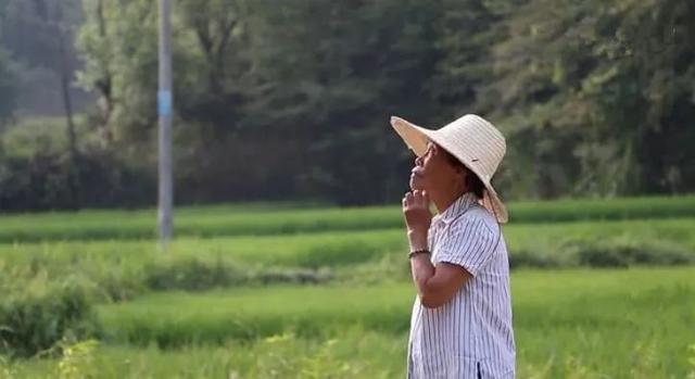 5年花光積蓄!89歲阿嬤用6萬件瓷器「打造千年瓷宮」 為圓夢砸2億5千萬「甘願住茅棚穿破衣」