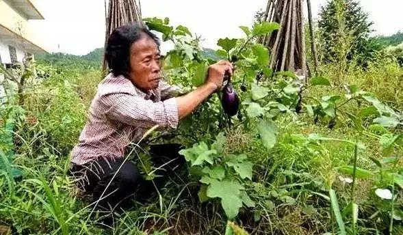 5年花光積蓄!89歲阿嬤用6萬件瓷器「打造千年瓷宮」 為圓夢砸2億5千萬「甘願住茅棚穿破衣」