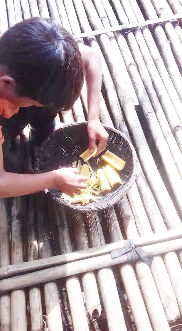 才剛下葬阿嬤！10歲男童「爸爸又逢意外離開」只剩自己苦撐　住破屋種菜養活自己「堅持不接受幫助」
