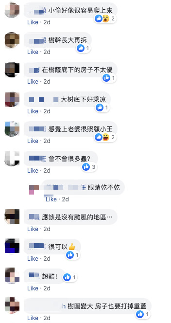為保護陳年老樹！屋主決定「在陽台地板挖洞」幫它開路　網友全想歪笑噴：這下問題大了