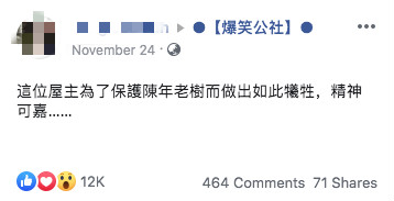 為保護陳年老樹！屋主決定「在陽台地板挖洞」幫它開路　網友全想歪笑噴：這下問題大了
