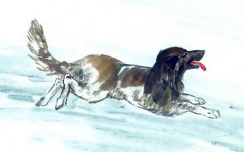 今日土地公土地婆都來賜福,6大生肖請接財!土地公說:你點開你發財