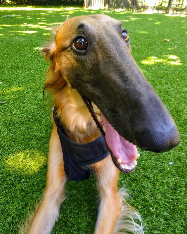 汪天生「超長馬臉」真的沒P圖！一起身曝「驚人腿長」：走路像走台步一樣