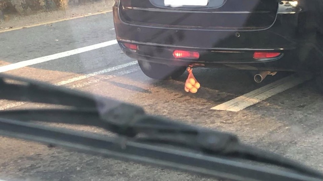以為在開玩笑！馬路上見休旅車「底盤掛雞蛋」　網友「不要隨便靠近」：小心被煞到