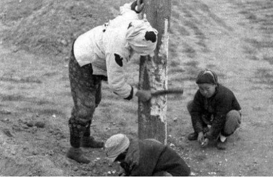 古代鬧飢荒窮人吃不上飯「啃樹皮果腹」，河裡魚蝦泛濫為何不下河捕捉？專家揭真相：換你也不會去