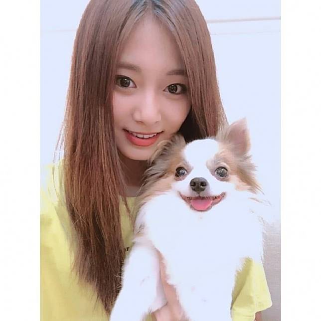 女神變貓奴！子瑜講台語宣布「最近養貓了」　甜笑公開「2毛孩台灣味名字」粉絲笑翻：超接地氣