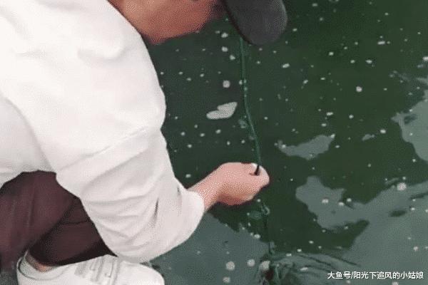 手機掉湖裡！女遊客花3000元請人打撈，3分鐘後撈出手機所有人都懵了