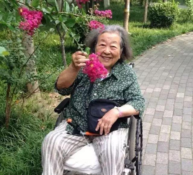 8年推壞5輪椅!2女帶80失智母「玩遍10多國」重拾笑容 生病走不動「辭職在家陪媽媽」:她快樂最重要