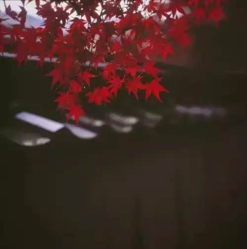 當我們老了，最大的依靠是什麼？一位養老院創辦者的真心告白