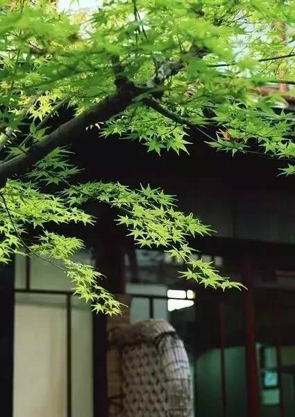最大的依靠不是孩子！如果有一天我老無所依「堅決不跟孩子一起住 」