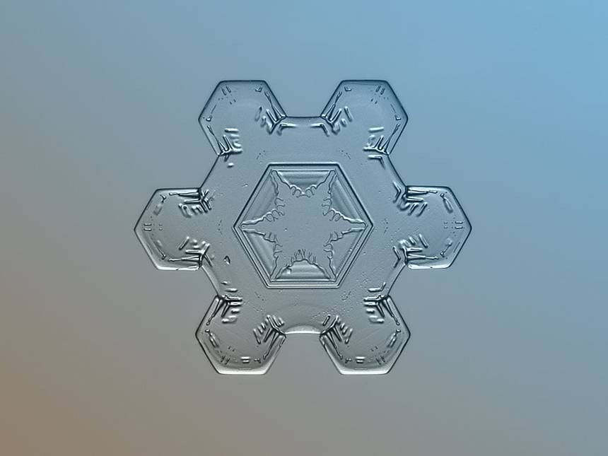 夢幻到不可思議！攝影師捕捉「微距鏡頭下的絕美雪花」　用8個冬天「 記錄現實版冰雪奇緣」美到讚嘆❤ 
