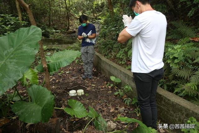 首位金馬影后！林青霞心中女神「28歲息影嫁娛樂大亨之子」傳奇一生 　60歲與世長辭「與夫合葬」