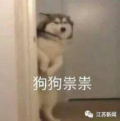 3歲女兒「每天準時趴窗檯1小時」，盯著遠方紋絲不動，親爸好奇走近一探究竟，結果發現「大秘密」