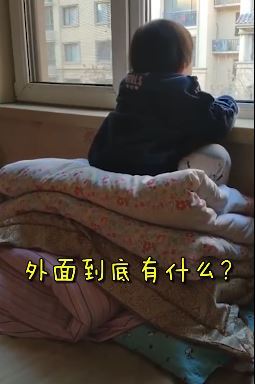 不准看電視！3歲女兒「每天準點看窗外」幾小時都不動　爸爸走近「順著眼神望出去」笑翻：太有前途啦