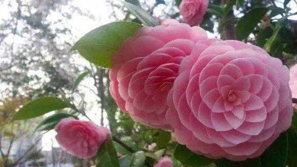 30張「再龜毛也找不出瑕疵」的完美療癒照！賣場毛巾「整齊排列繽紛畫面」令人讚嘆：看了心情好好