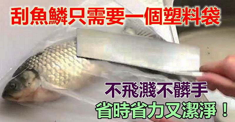 刮魚鱗只需一個塑料袋！刮魚鱗不飛濺不髒手，而且省時省力又潔凈！