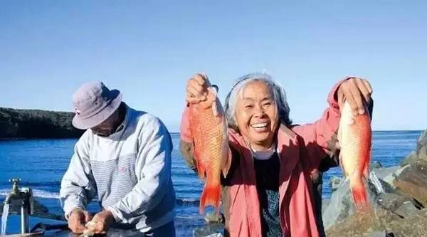 花甲夫妻退休後！財產不留子「環遊世界70國」享受第二人生　跟老伴「再談一次戀愛」愜意又精彩