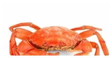 面試官：一隻螃蟹有8條腿，100隻呢？女博士答：800     直接淘汰