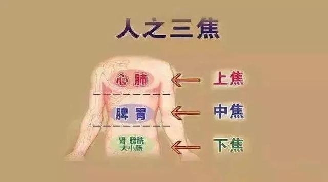 「上焦火下焦寒」容易經絡淤堵「肩頸痠痛」根本原因在於「中焦不通」打通三焦的簡單方法練起來