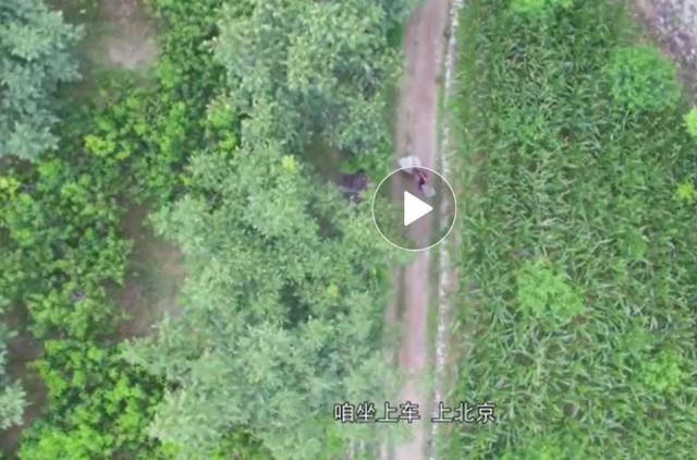 76歲老奶奶為替兒還債數十萬, 8年來每天挑30公斤重扁擔「往返60公里賣菜」,一個小小願望讓債主都淚崩!