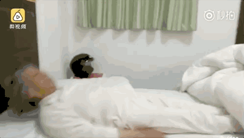 84歲「17天跑遍西藏」圓夢 102歲「挑戰高空跳傘3次」:活得漂亮,是對歲月最好的報復