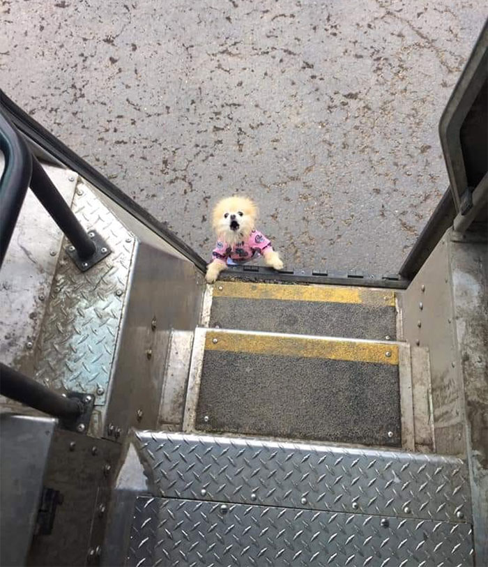 誰說送貨很無聊?他Po「每日工作狀況」驚艷百萬人 「常常遇到小驚喜」煞羨全網:也太讚了~