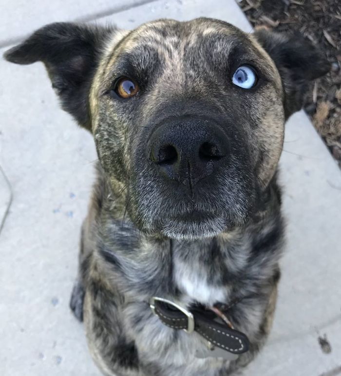 誰說送貨很無聊?他Po「每日工作狀況」驚艷百萬人 「常常遇到小驚喜」煞羨全網:也太讚了~