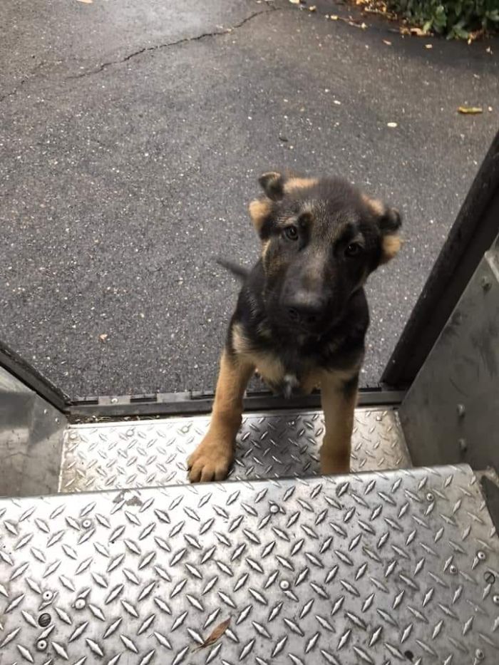 誰說送貨很無聊?他Po「每日工作狀況」驚艷百萬人 「常常遇到小驚喜」煞羨全網:也太讚了~