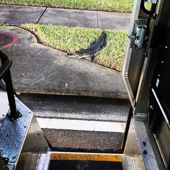 誰說送貨很無聊?他Po「每日工作狀況」驚艷百萬人 「常常遇到小驚喜」煞羨全網:也太讚了~