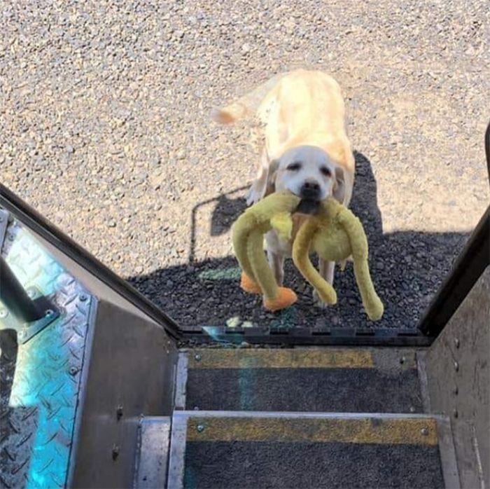 誰說送貨很無聊?他Po「每日工作狀況」驚艷百萬人 「常常遇到小驚喜」煞羨全網:也太讚了~