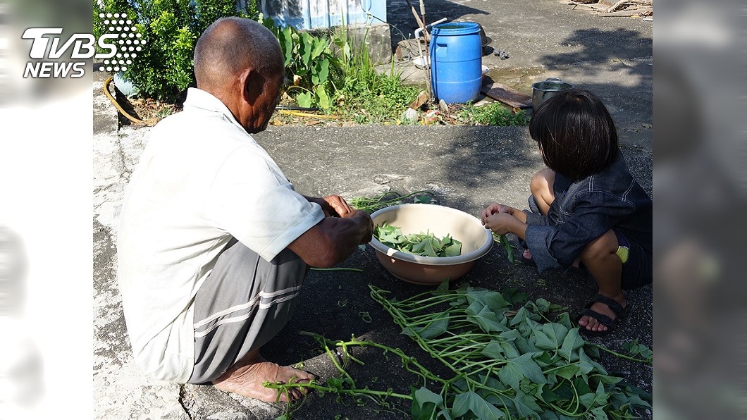 獨養2幼孫！阿公沒錢「餐餐吃地瓜葉」燒柴煮熱水　屋內破大洞「他忍寒風露宿」姊妹只盼快長大