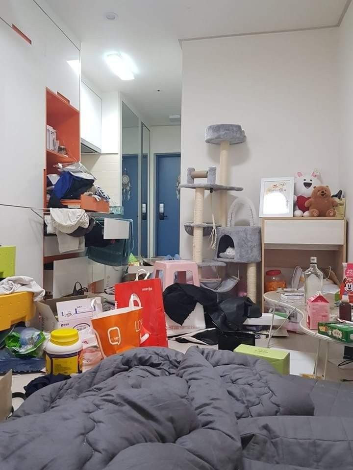 媽別再叫我整理了！研究發現「房間越亂的人越有創意」　專家透露「家裡亂其實好處多多」：心情更放鬆