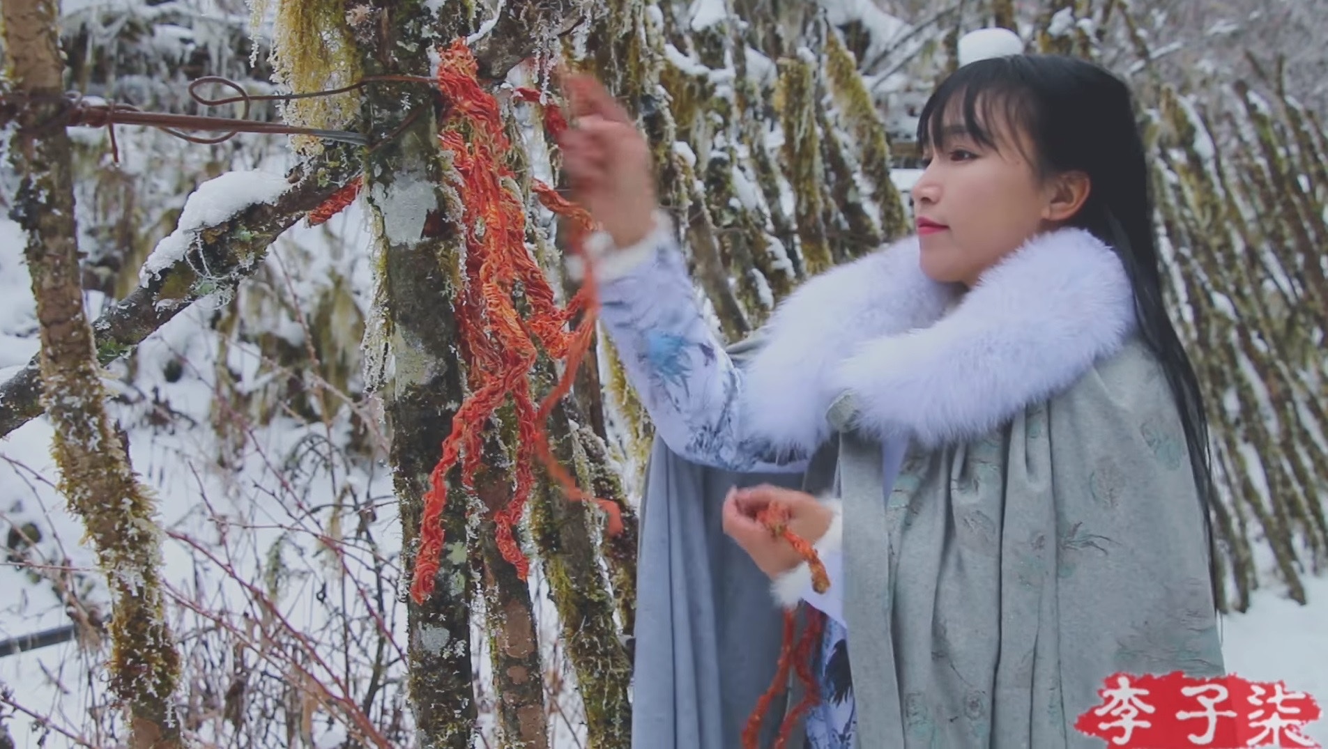 年收破7億!鄉村系仙女網紅「穿古裝拍Youtube」 遵循古法「凡事自己DIY」爆紅全網:把生活過成詩