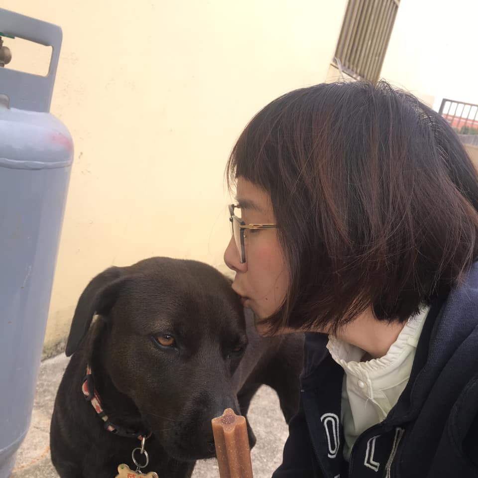 家人傳照片...重點是在哪？看半天才驚見「愛犬完美隱身」：保護色也太強大～