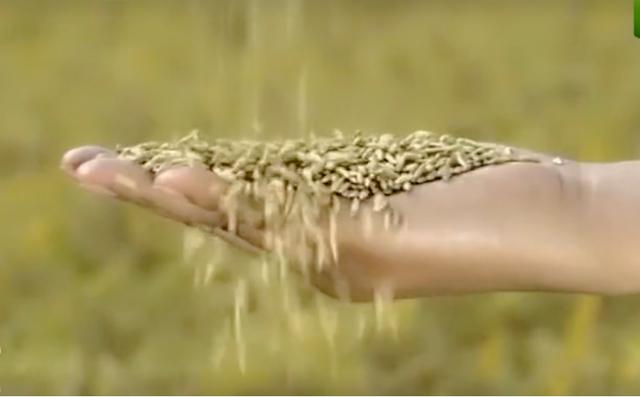 古人買東西真的都用銀子嗎?別再被電視劇騙了,百姓們有銀子「都恨不得扔掉」:用了會很危險